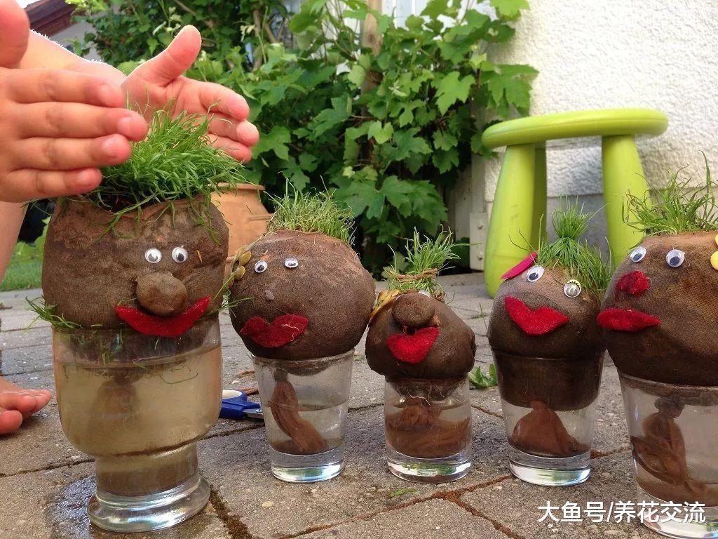 室内盆土板结、有缝隙还浇水? 难怪你的花儿都养不好