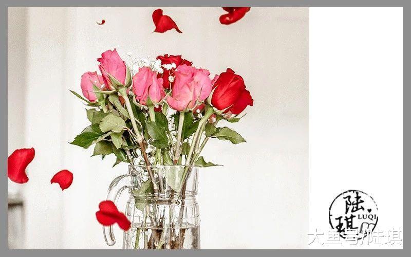 唐僧夫妻28年婚后生活曝光: 愿能陪伴你, 独立又亲密