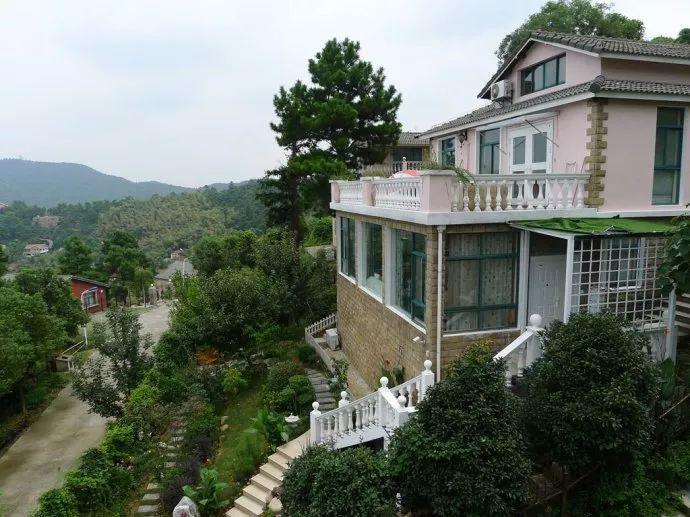 她在荒山上建花园, 赏花种菜游山玩水, 神仙都羡慕!
