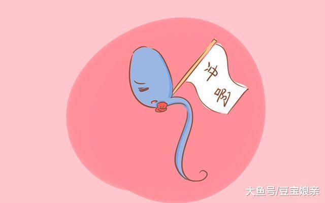 那些没有和卵子“偶遇”的精子去了哪里? 涨知识的时候到了