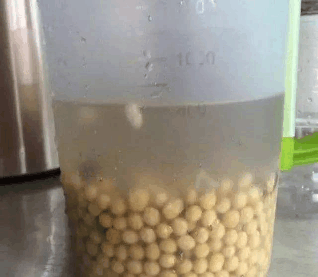 这东西在家“煮煮”, 成为养花好肥料, 养啥花都能旺!