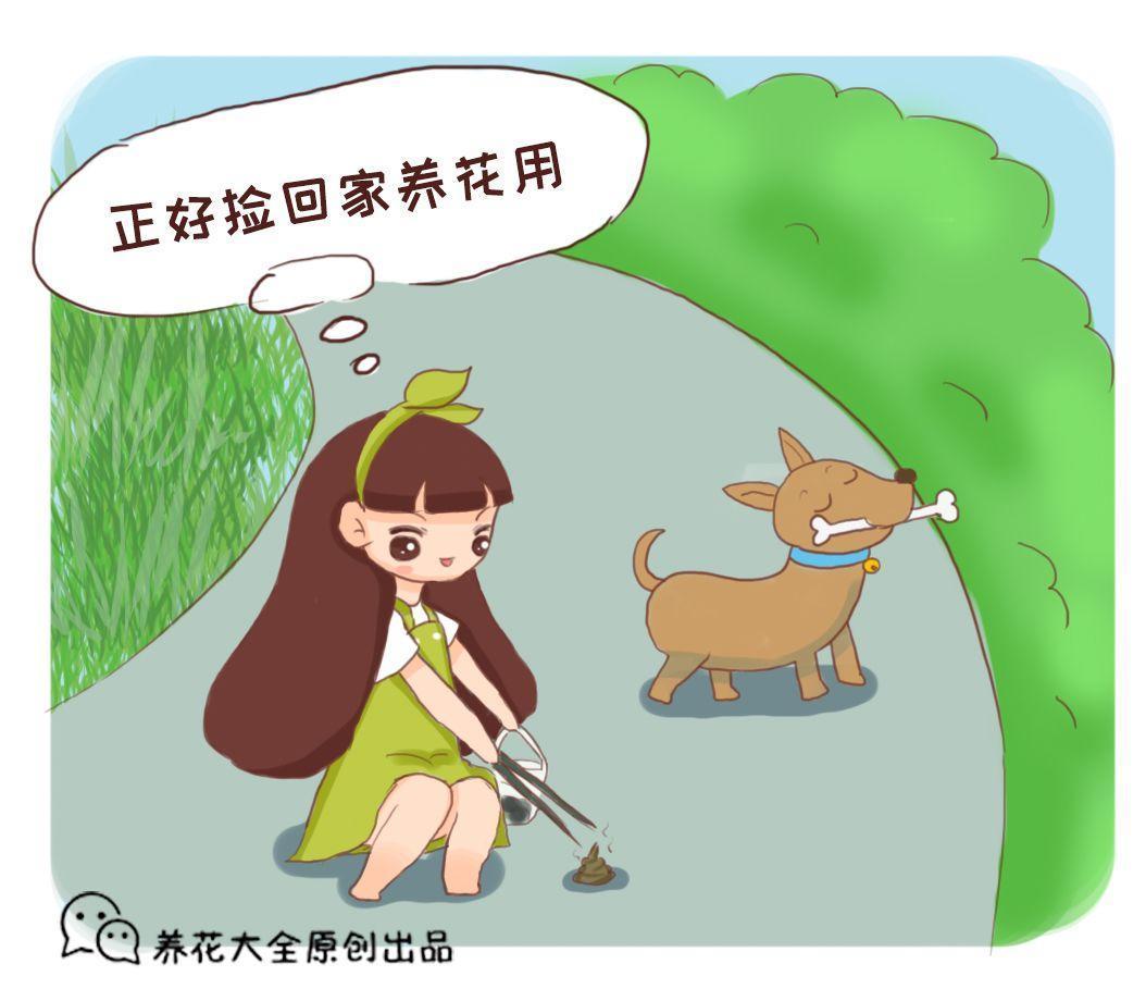绿化带里捡点宝, 随手撒盆里, 开花多猛蹿个!