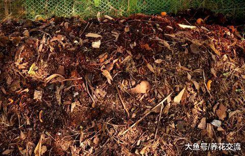 这5种生活的废弃物都可以制作成很好的肥料, 不用花钱买