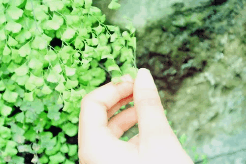 短而好的句子, 微信个性签名