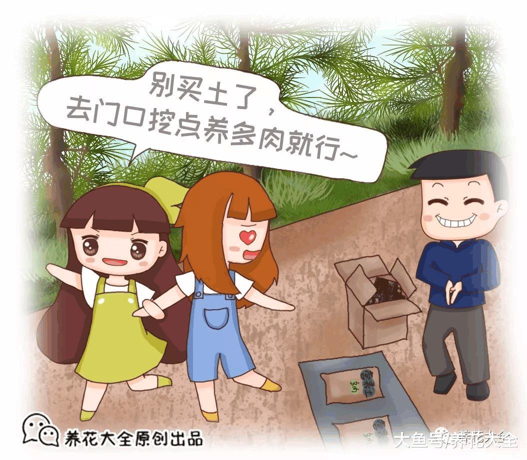 养多肉还买土? 门口挖点掺上它, 1分钱不花爆10盆!