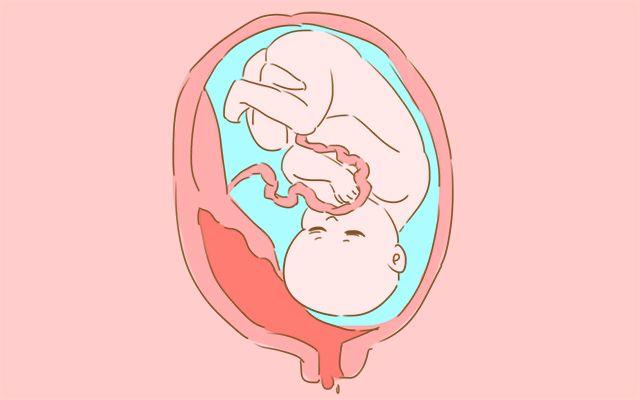 宝宝在妈妈的肚子里有这么多的小秘密, 你知道几个?