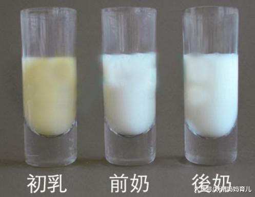 宝宝出生后一定让宝宝吃初乳? 初乳对妈妈和宝宝的5大好处