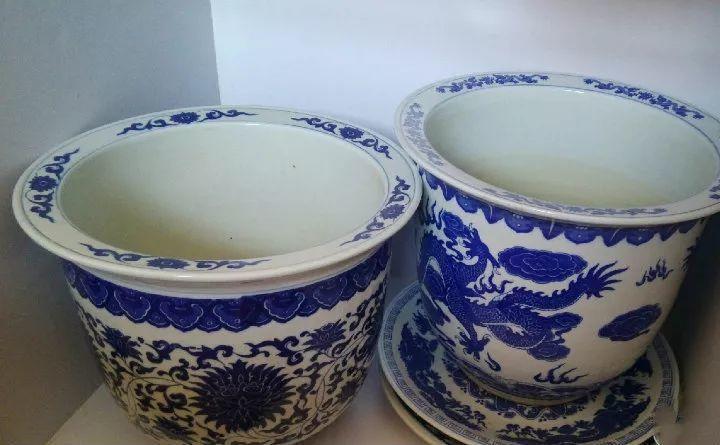 40万的古董, 她用来养花20年都不知道, 还以为是不要的破烂儿!