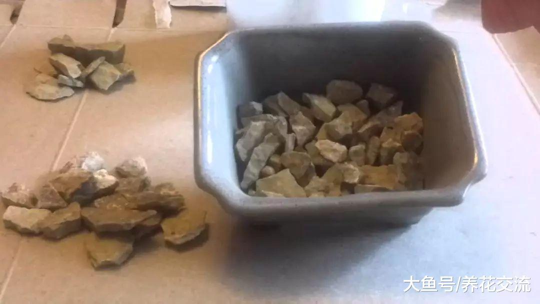 用樱桃种子播种育苗的方法, 看看多久能够长成樱桃树