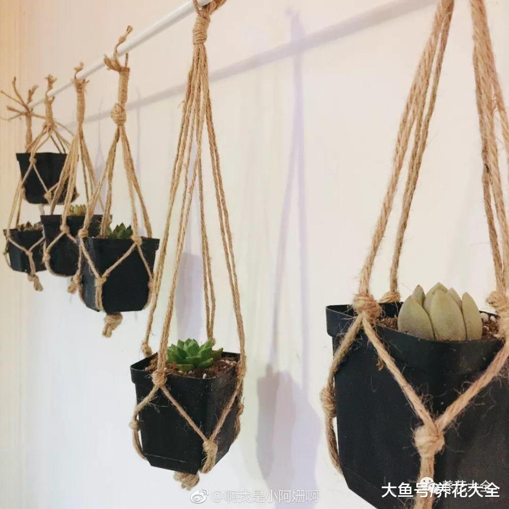 夏天多肉不通风? 给它做个吊篮, 好看又不占地!