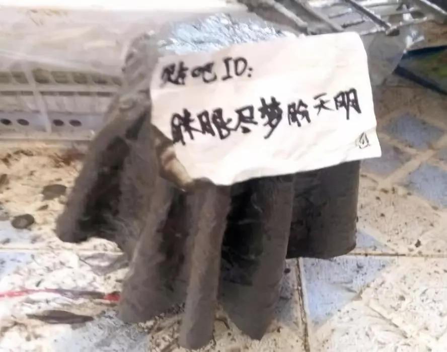 毛巾也能变花盆, 拼的就是脑洞, 不服不行! 还在买花盆?