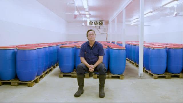 这里被称作“世界最臭工厂”, 作业工人对味道已无感