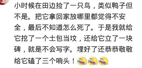你都养过什么动物? 网友: 小鸡仔养成粘人大公鸡, 成为小区一景