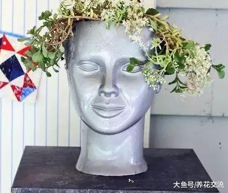搭配这八种好看的植物, 这些恐怖的盆栽你敢摆放家里么