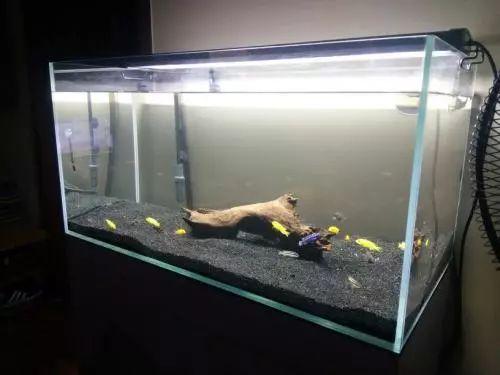 这些生活中的肥料也可以用来养花, 一分钱都不用花呢!