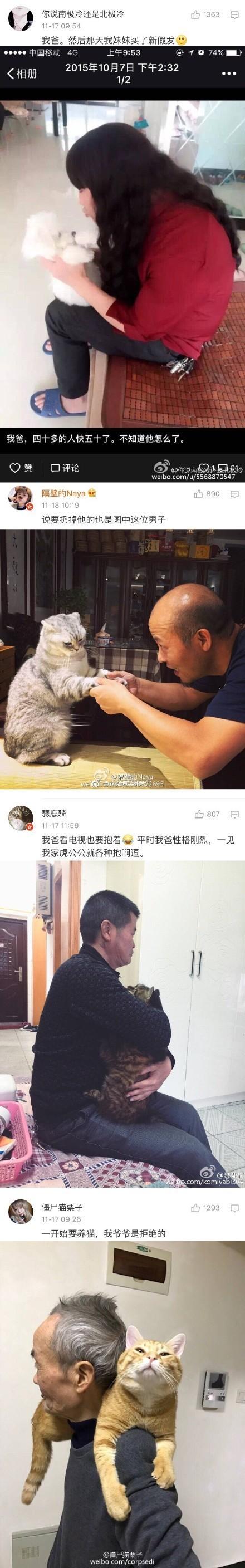 父母一开始不让养宠物, 养了之后爱得不要不要的
