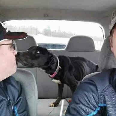 男子野外发现奇怪箱子, 打开后发现让他破口大骂