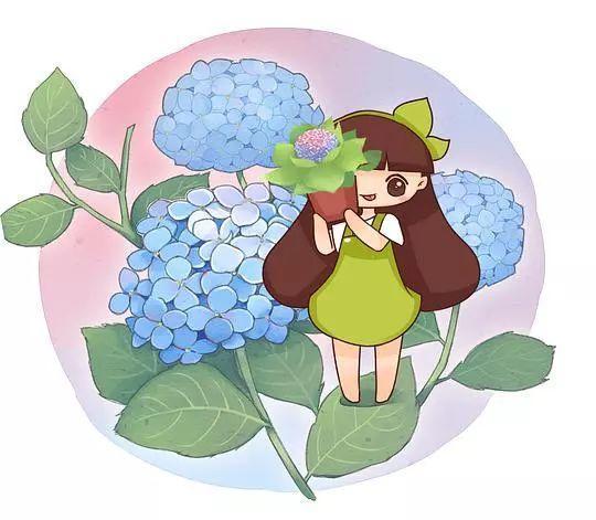 绣球花越养越绿? 这样修剪掉, 秋后还能开一茬!