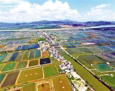 金湾人口_珠海这条村要火了 竟藏着这么梦幻的仙境