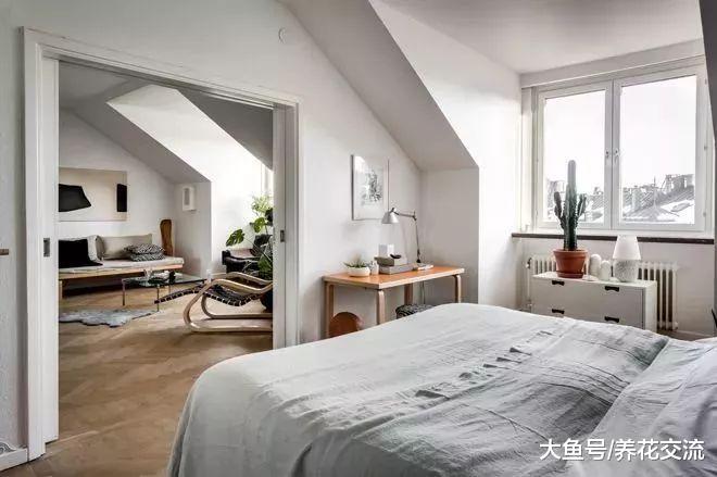 摆在家里两三米高逼格的仙人掌盆栽, 现代家居的“宠儿”