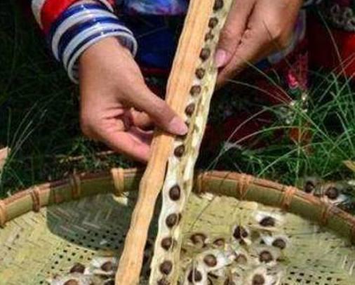 女人体重超过120, 多吃这几种碱性食物, 排湿气让你减肥更轻松