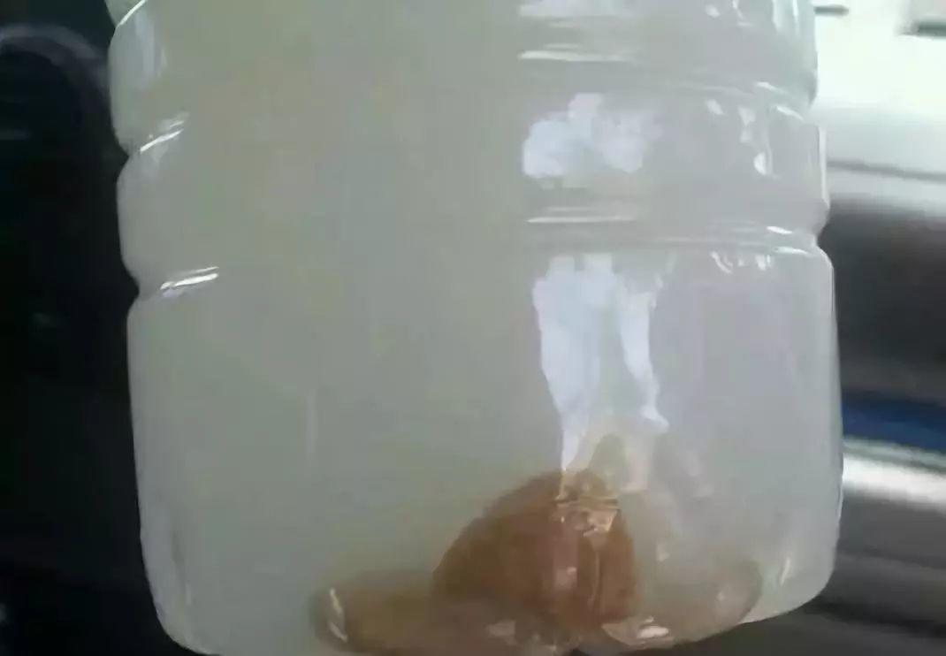 水里扔粒小药片, 花喝了砰砰直爆盆, 邻居嫉妒得眼红!