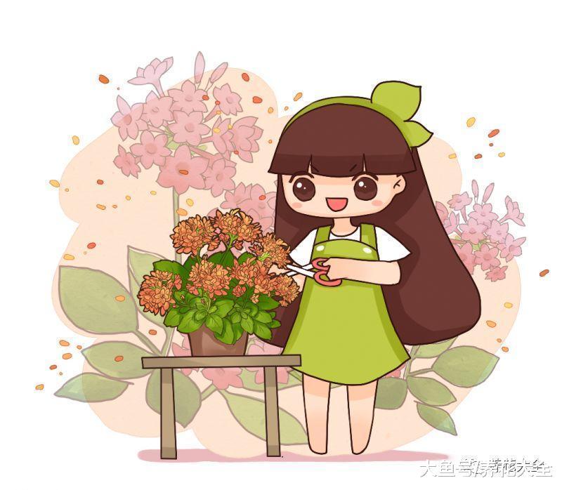 这4种花最难养, 夏天就是鬼门关, 注意这几点就能安全避开!