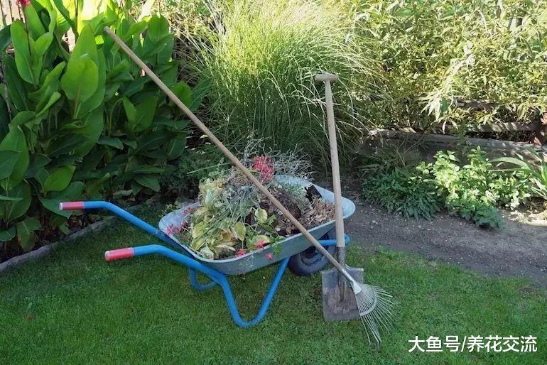 秋末打理庭院花园需要做好的10个准备, 养花也要注意细节