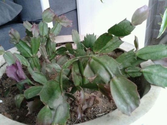 甲醛超标危害大, 这“4种”现象是“警报”, 要时刻注意!