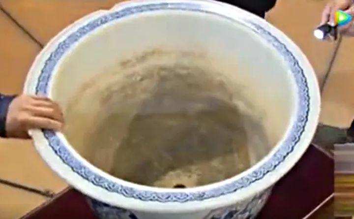 40万的古董, 她用来养花20年都不知道, 还以为是不要的破烂儿!