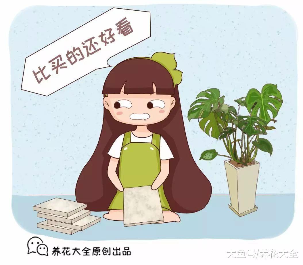买的花盆又贵又难看? 花花教你自制花盆, 省钱又漂亮!