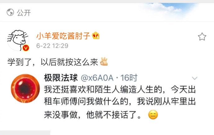 和陌生人编造人生, 网友们一个个都是戏精本精