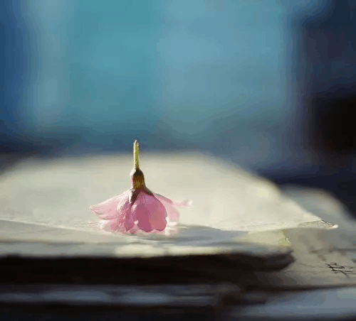 朋友圈里, 睡前才发的晚安句子