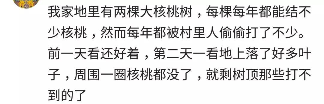 农村人真的很淳朴吗? 网友: 城里人虽然缺点人情味, 但也清净