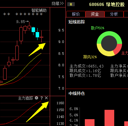 绿地控股600606:资金源头众抢筹? 后势被严重