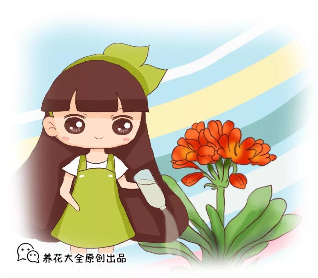 秋天浇花用这3种水, 不烂根不黄叶, 长得贼旺!
