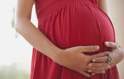 孕期哪个月是对胎宝最重要的阶段? 用心的孕妈都会知道的
