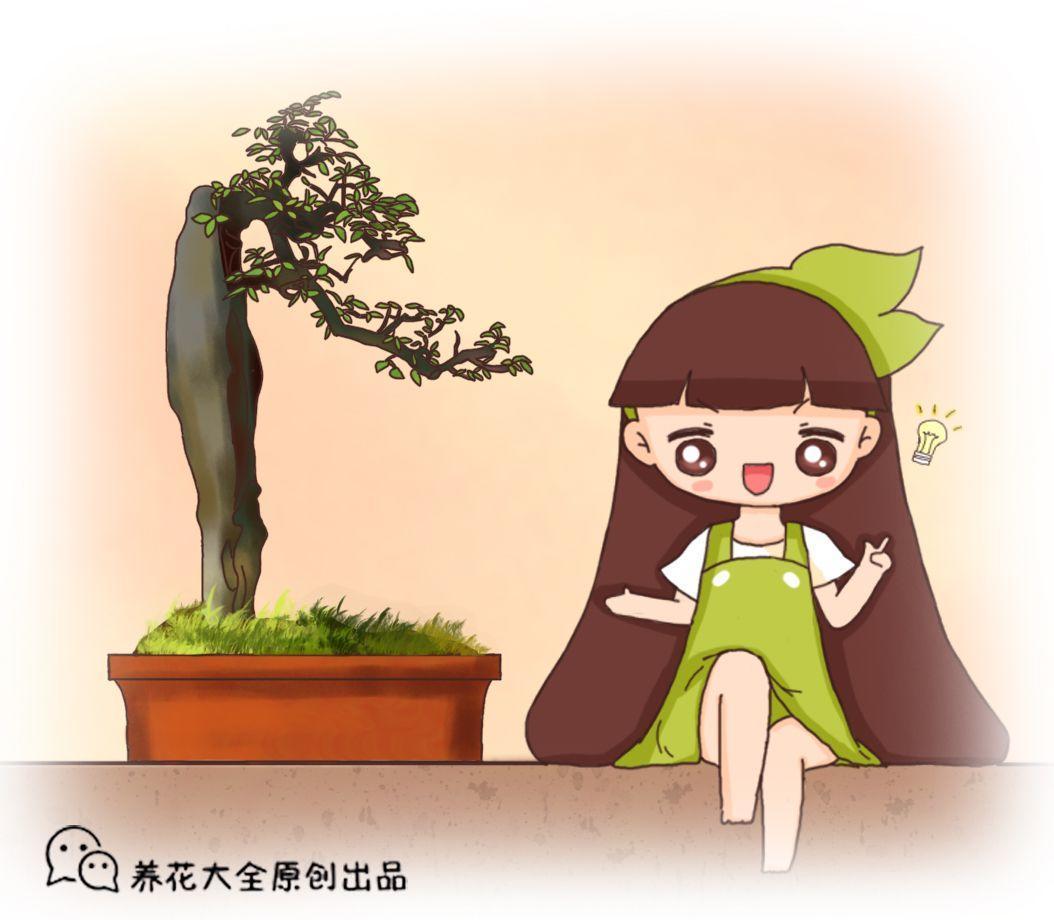 气势磅礴的中国山水盆景, 一盆看尽千里江山!
