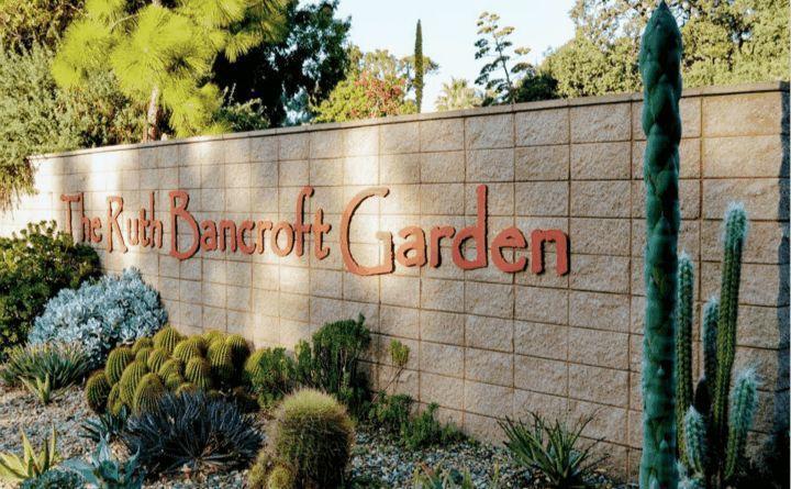 空旷的土地, 老奶奶花了40年, 打造出多肉森林!