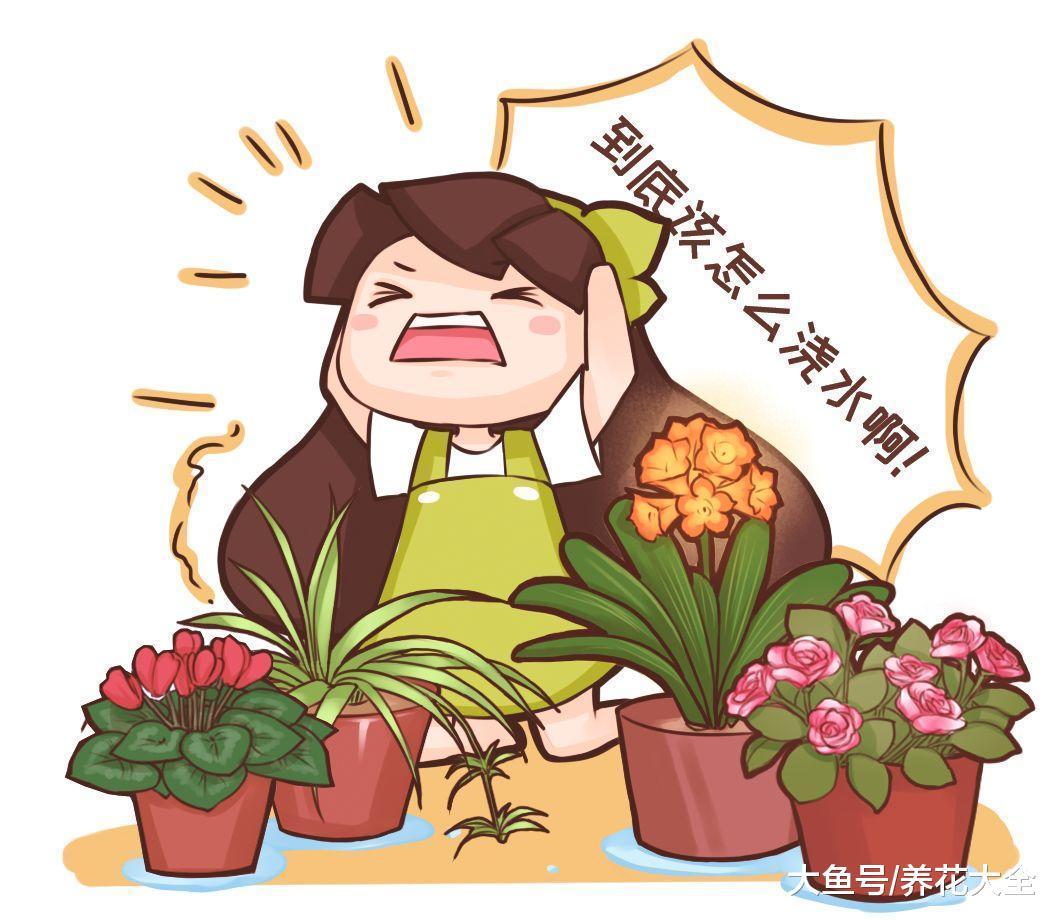 30种花浇水方法, 1句话保花活20年!