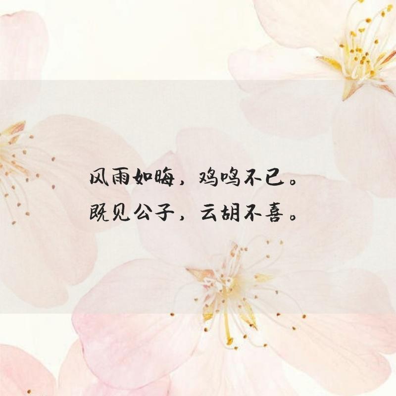 这些令人一眼惊艳的情话句子, 真是又暖心又扎心!