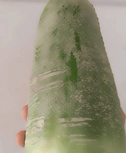 玉米大家都见过，但绿色的玉米你