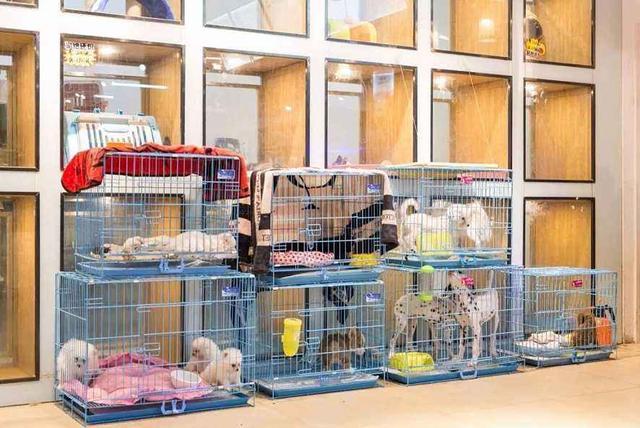 约妹纸除了吃饭、逛街、就是看电影了? 我们还能去哪?