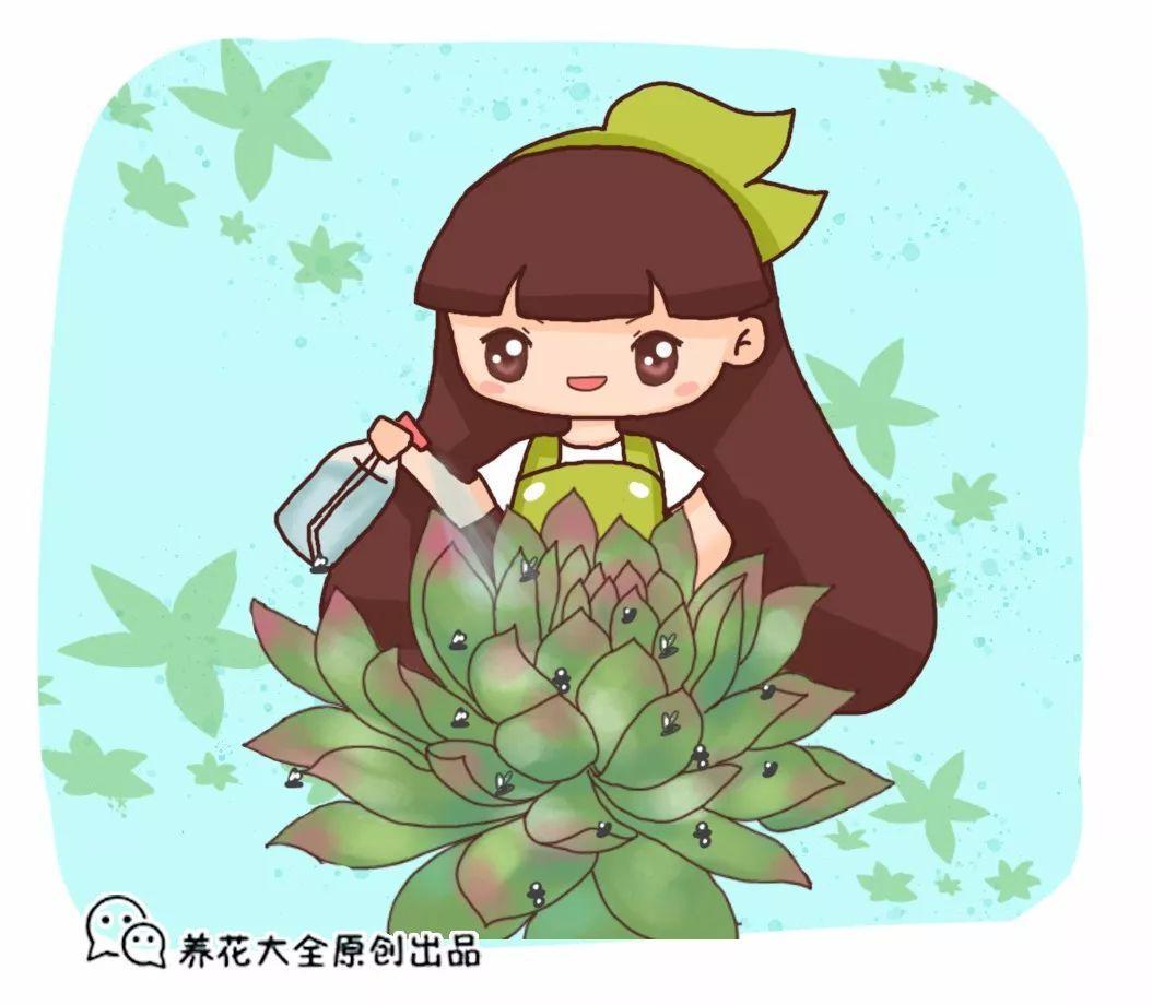 给花喷点消毒水, 蚊虫全死光, 3天黄叶变绿叶!