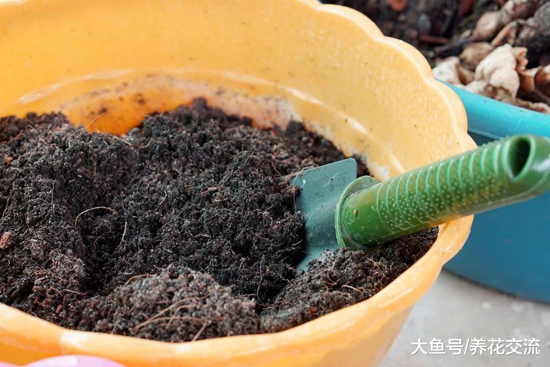 了解如何自制盆栽土壤, 养花省钱又省力