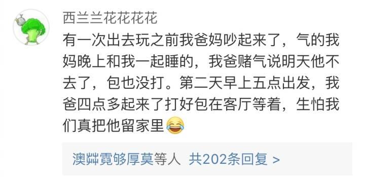 旅行都不会吵嘴的家庭存在吗? 看评论才知道原来不止我家这样呀