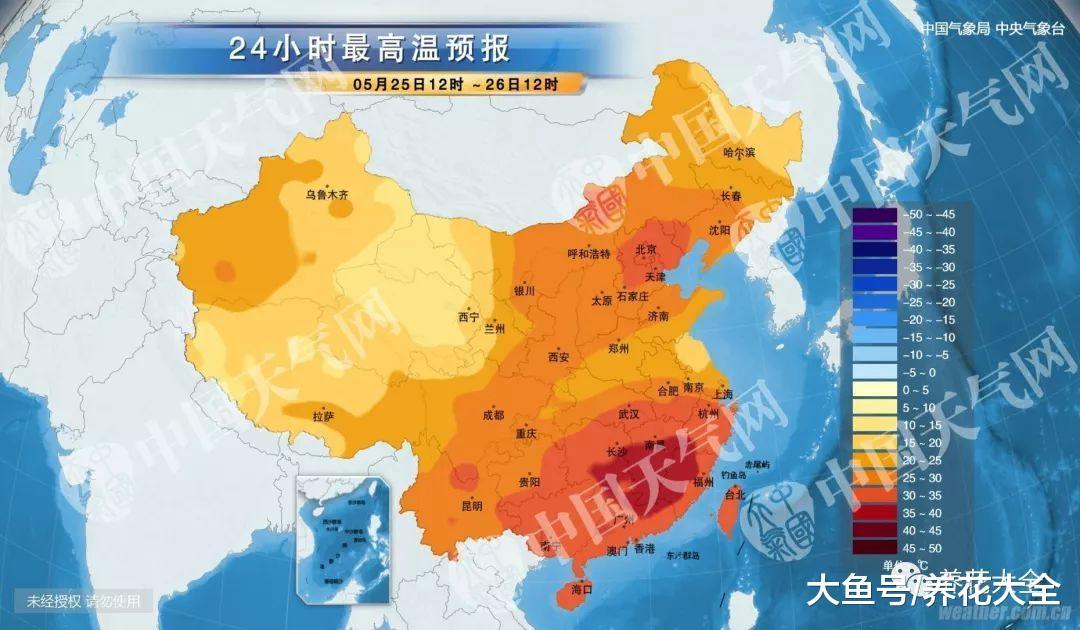 这8种花, 天一热就休眠, 给剪两刀就不怕了!