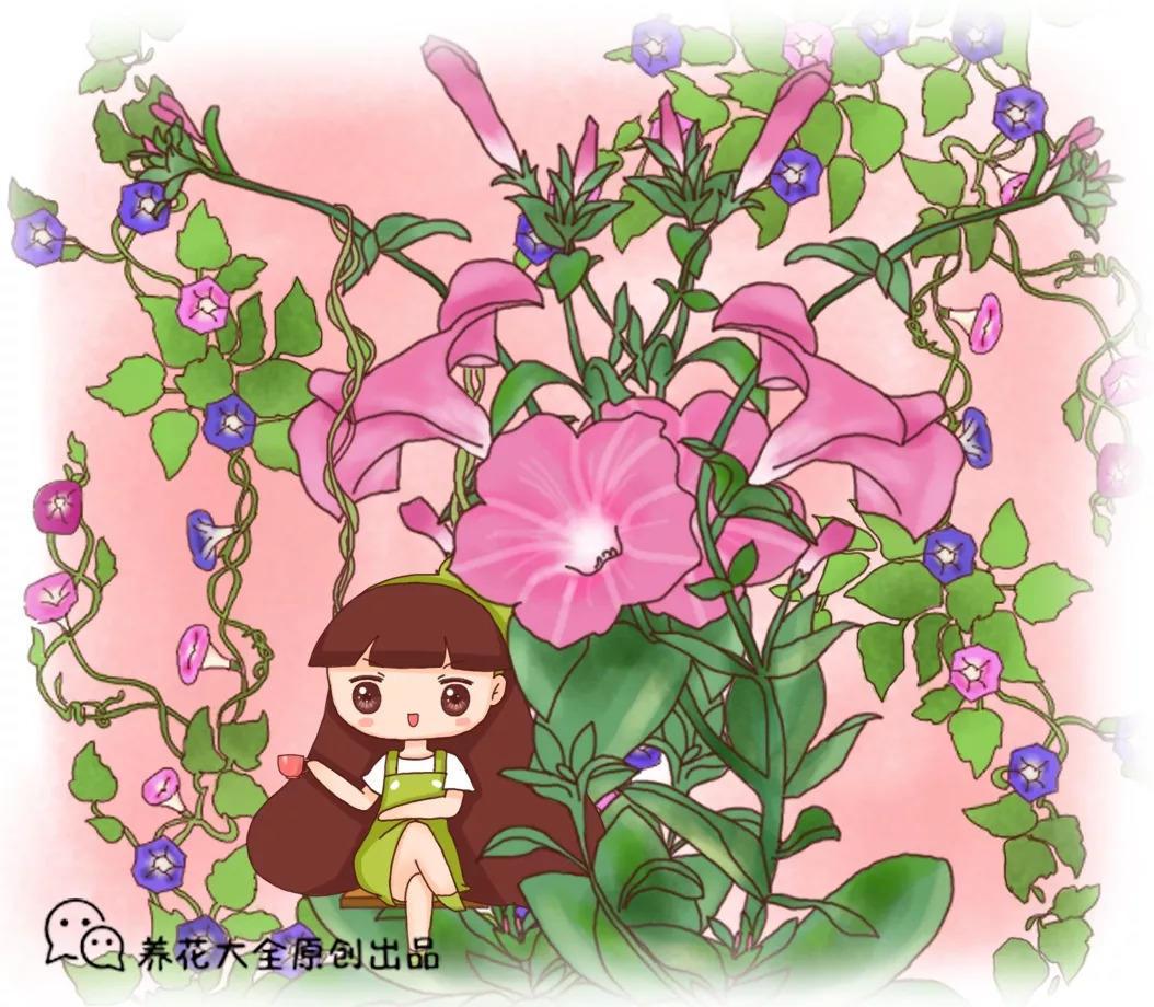 当奶奶爱上养花, 天台种了一万盆, 比花园还壮观!