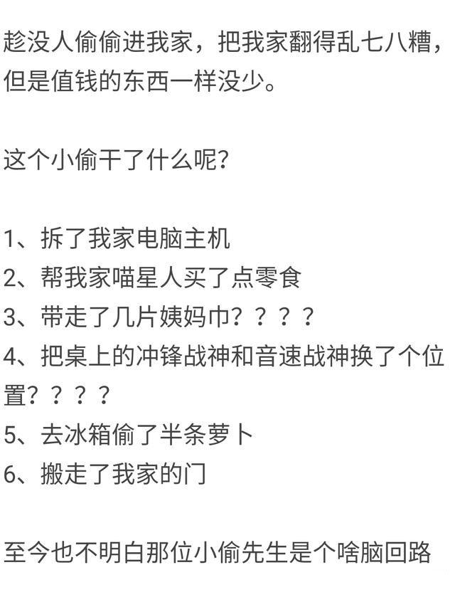 你遇到过哪些让你印象深刻的贼? 不是来偷东西的, 是来搞笑的