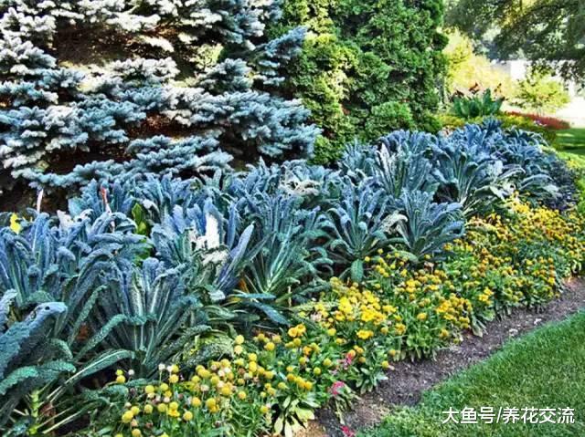 9个创意的菜园养成计划, 不用院子也能种好蔬菜